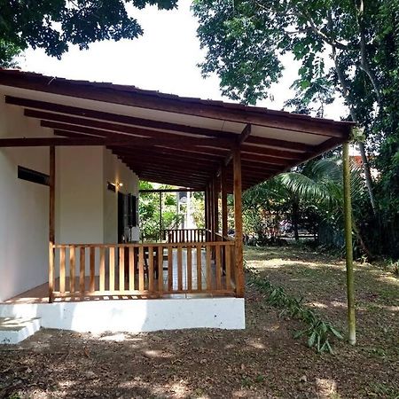 Green Papaya Villa Puerto Viejo de Talamanca ภายนอก รูปภาพ