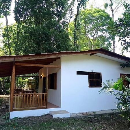 Green Papaya Villa Puerto Viejo de Talamanca ภายนอก รูปภาพ