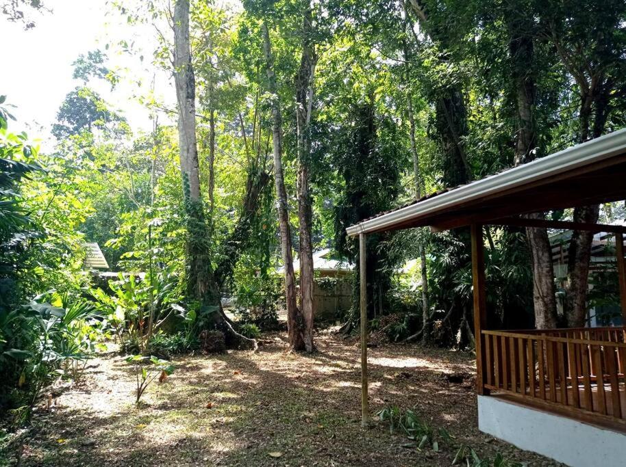 Green Papaya Villa Puerto Viejo de Talamanca ภายนอก รูปภาพ
