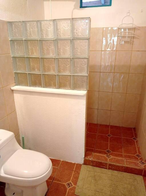Green Papaya Villa Puerto Viejo de Talamanca ภายนอก รูปภาพ
