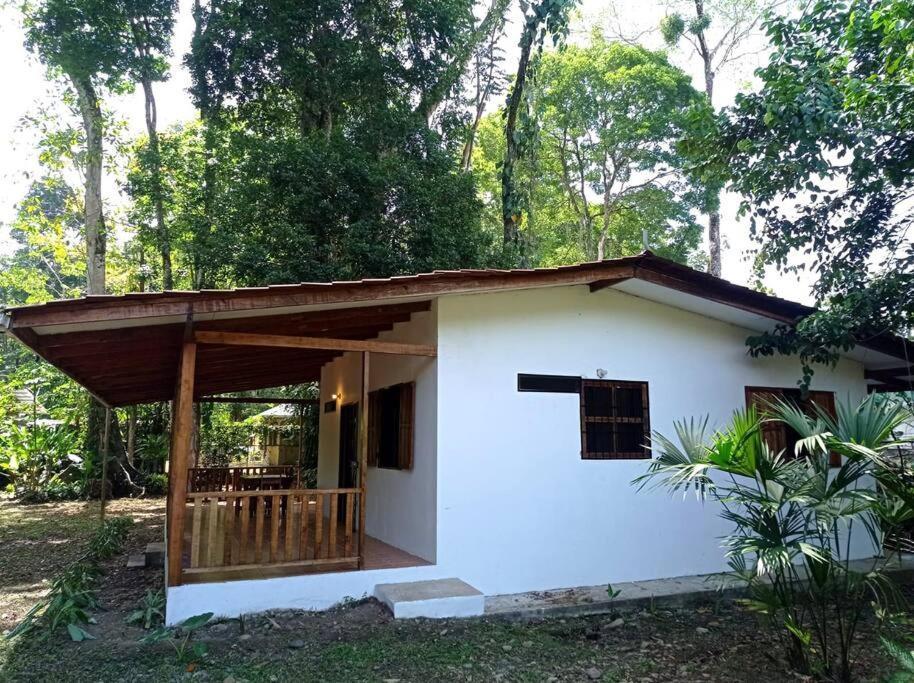 Green Papaya Villa Puerto Viejo de Talamanca ภายนอก รูปภาพ