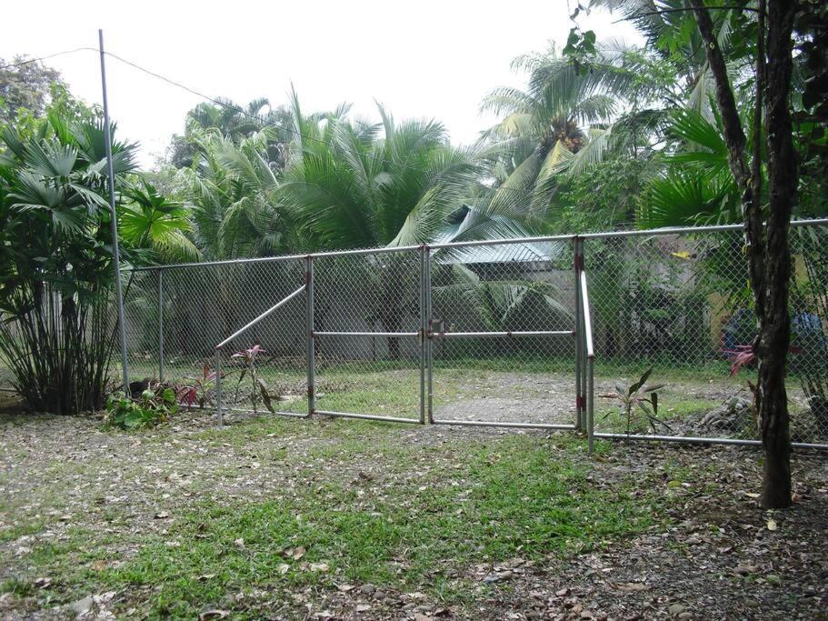 Green Papaya Villa Puerto Viejo de Talamanca ภายนอก รูปภาพ