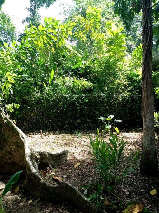Green Papaya Villa Puerto Viejo de Talamanca ภายนอก รูปภาพ