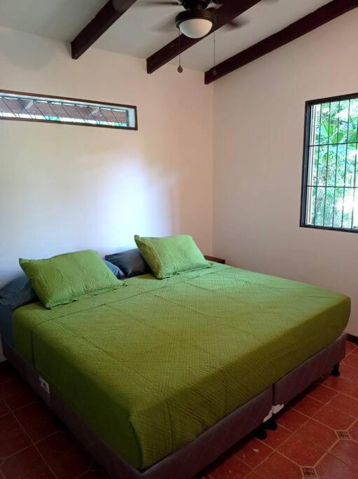 Green Papaya Villa Puerto Viejo de Talamanca ภายนอก รูปภาพ